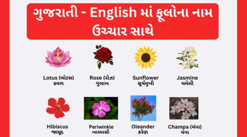 Flowers name in gujarati and english ગુજરાતી - English માં ફૂલોના નામ ઉચ્ચાર સાથે (3)